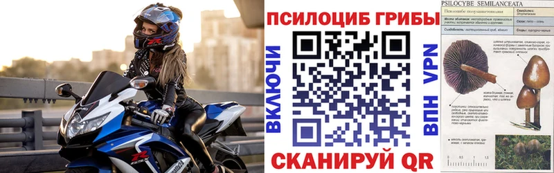 Псилоцибиновые грибы Magic Shrooms Сыктывкар