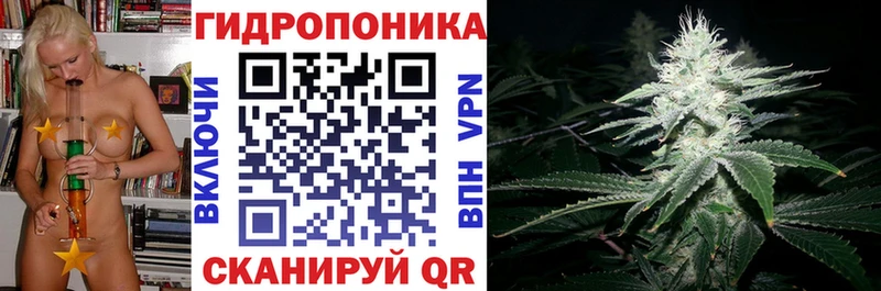 Каннабис сатива  цена   МЕГА ССЫЛКА  Сыктывкар 